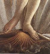 Sandro Botticelli The Birth of Venus (mk36) oil painting
